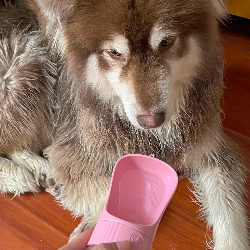 Portable Dog Water Bottle with Food Container 